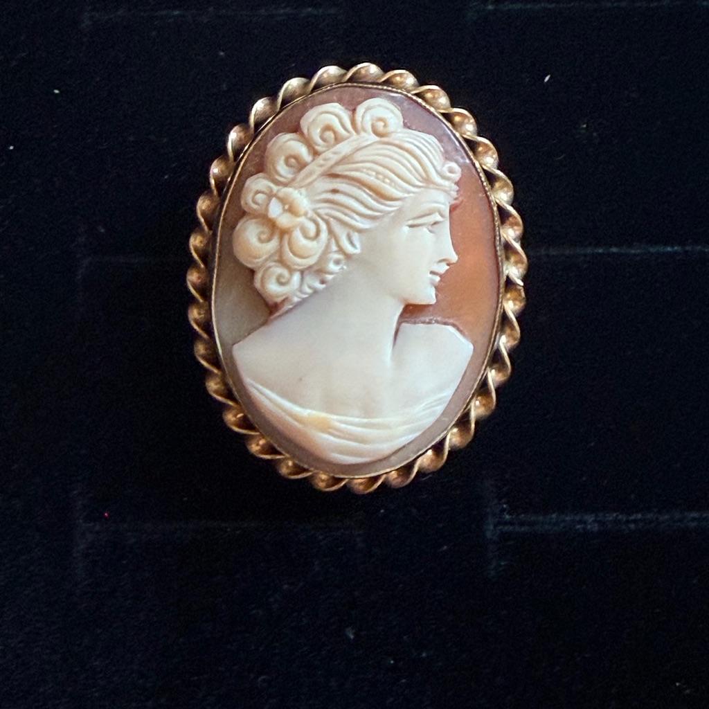 Amco 12k Gf Vintage Cameo Pendant Brooch